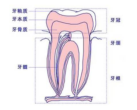 看牙拍牙片到底是爲了啥？！