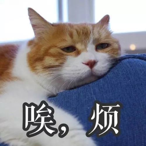 如果不小心得咗牙周炎，該點算？