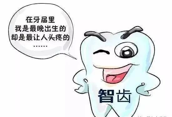 智齒”係藏在嘴裏嘅「垃圾桶」，牙疼那都係小事......